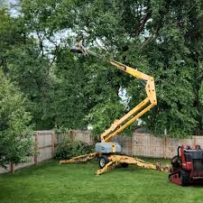 Best Tree Health Inspection  in Tignall, GA