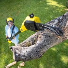 Best Pest Control for Lawns  in Tignall, GA