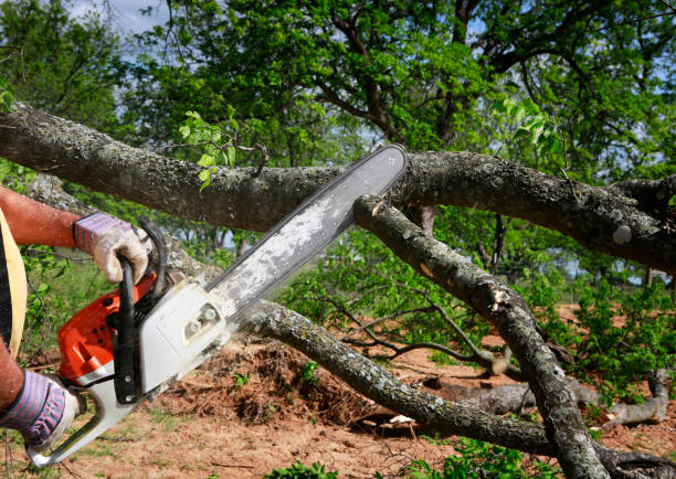 Landscape Design and Installation in Tignall, GA